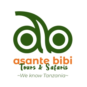 Asantebibi Safaris and Tours Ltd